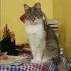Отзыв от Анжелика Никифорова